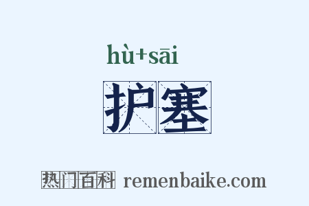 护塞是什么意思的图片